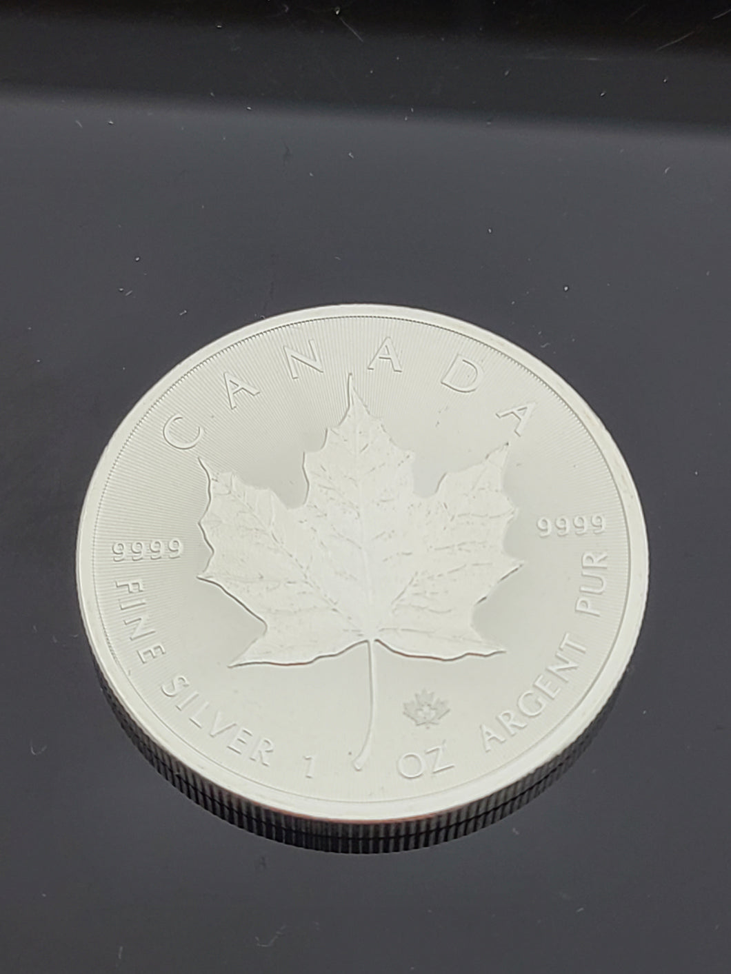 Maple Leaf Pure Silver Coin scn29 - Royal Dubai Jewellers